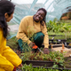 Image for article titled You didn’t kill your victory garden. Now what?
